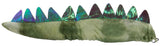 Costume Accessory Kit - Triceratops Dinosaur Headband Headpiece With Tail