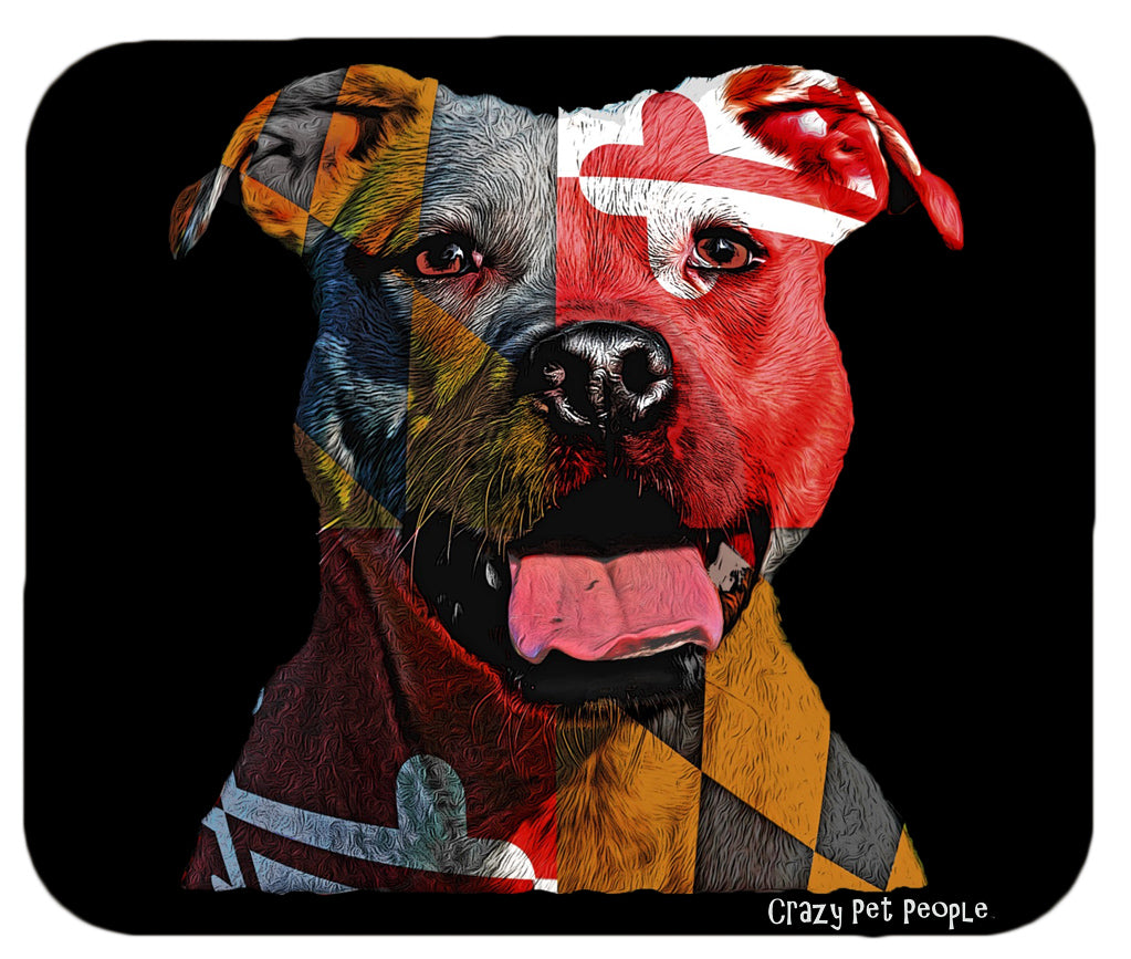 Maryland Flag / Dog Collar