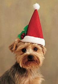 Christmas Costume Accessory for pet- Santa Claus Dog Hat