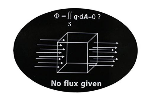 No Flux Given Funny Science Geek Nerd Oval Magnet (Car or Fridge!) 4x6 inches