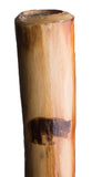 Take A Hike Wooden Walking Stick with Compass and Pouch - Bear