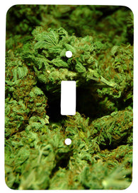 Single Toggle Metal Light Switch Cover with Marijuana Design